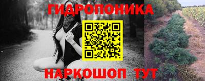 мяу мяу мука Кулебаки